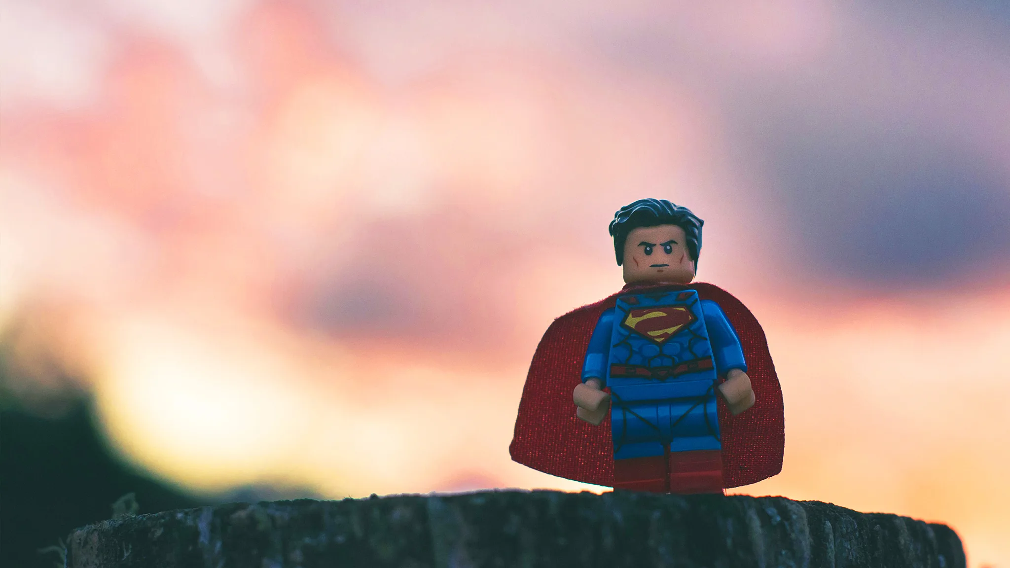 Visuel couverture formation fraude 2